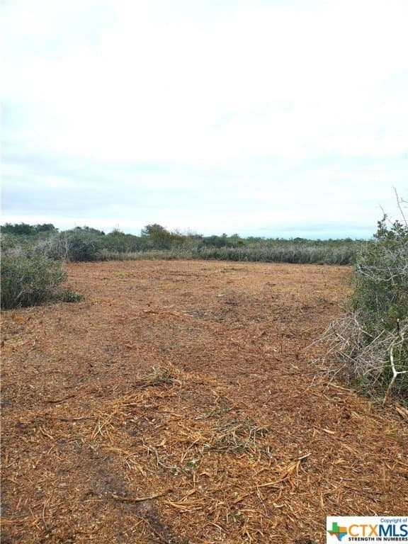 2 acres in Calhoun County - photo 7