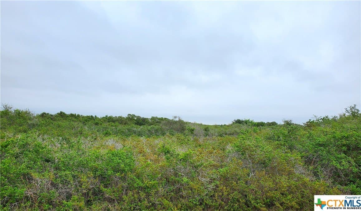 2 acres in Calhoun County - photo 3