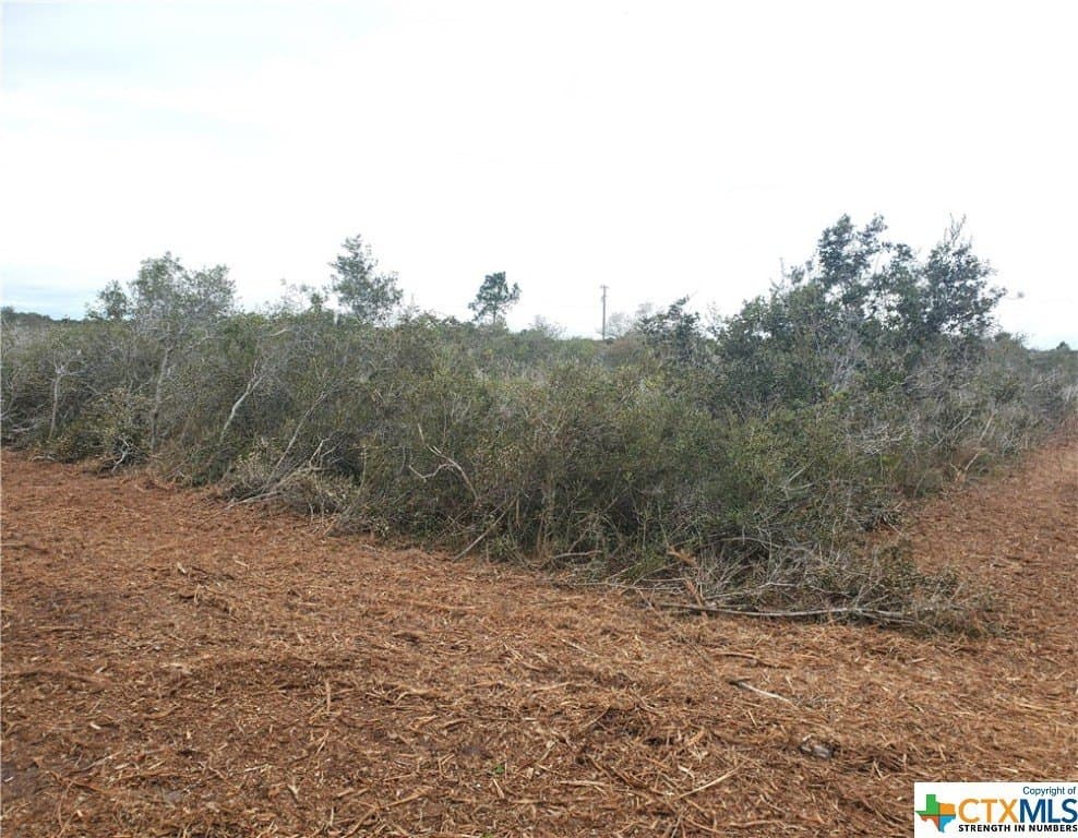 2 acres in Calhoun County - photo 9