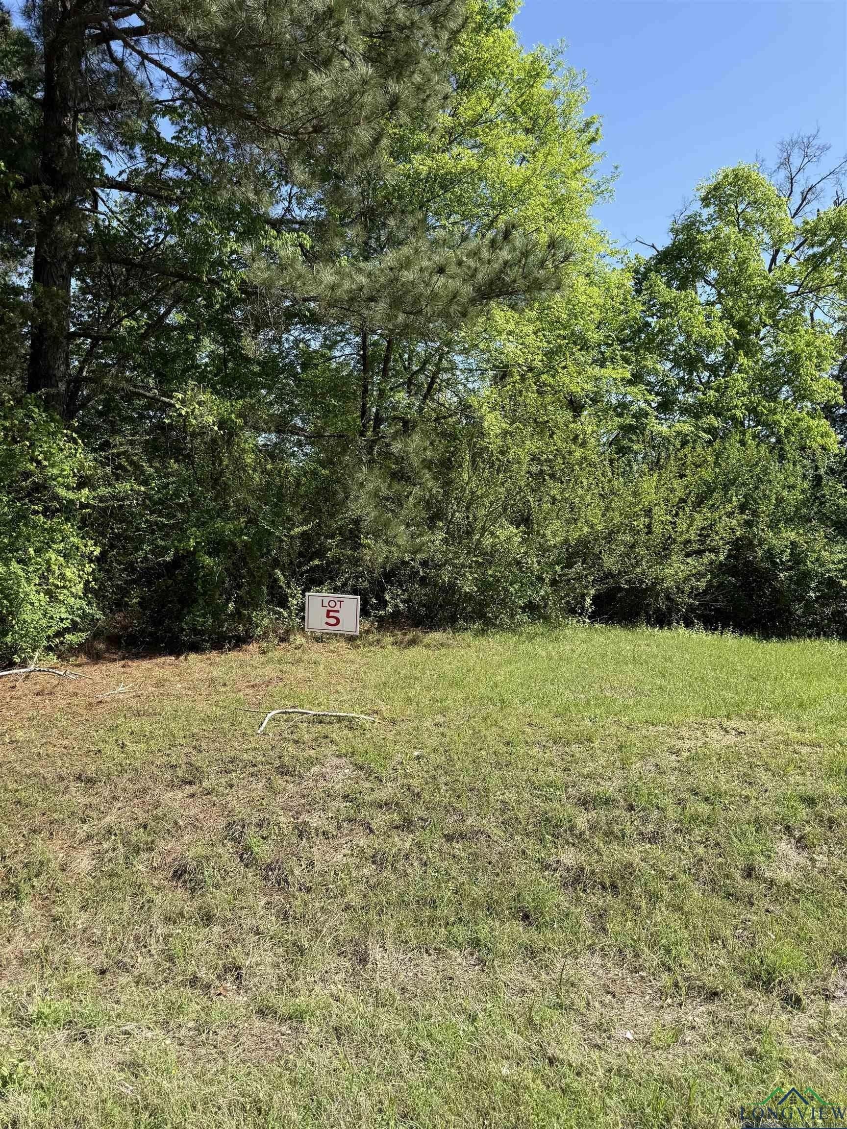 Tbd Lot 5 S FM 839