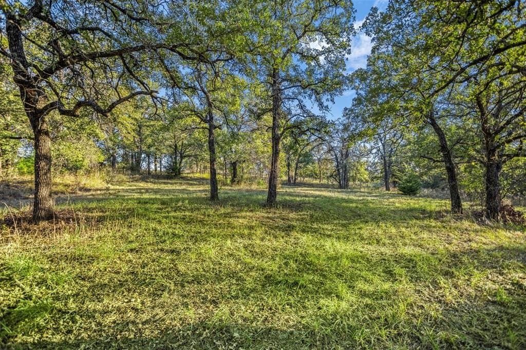 10.01 acres in Wise County - photo 15