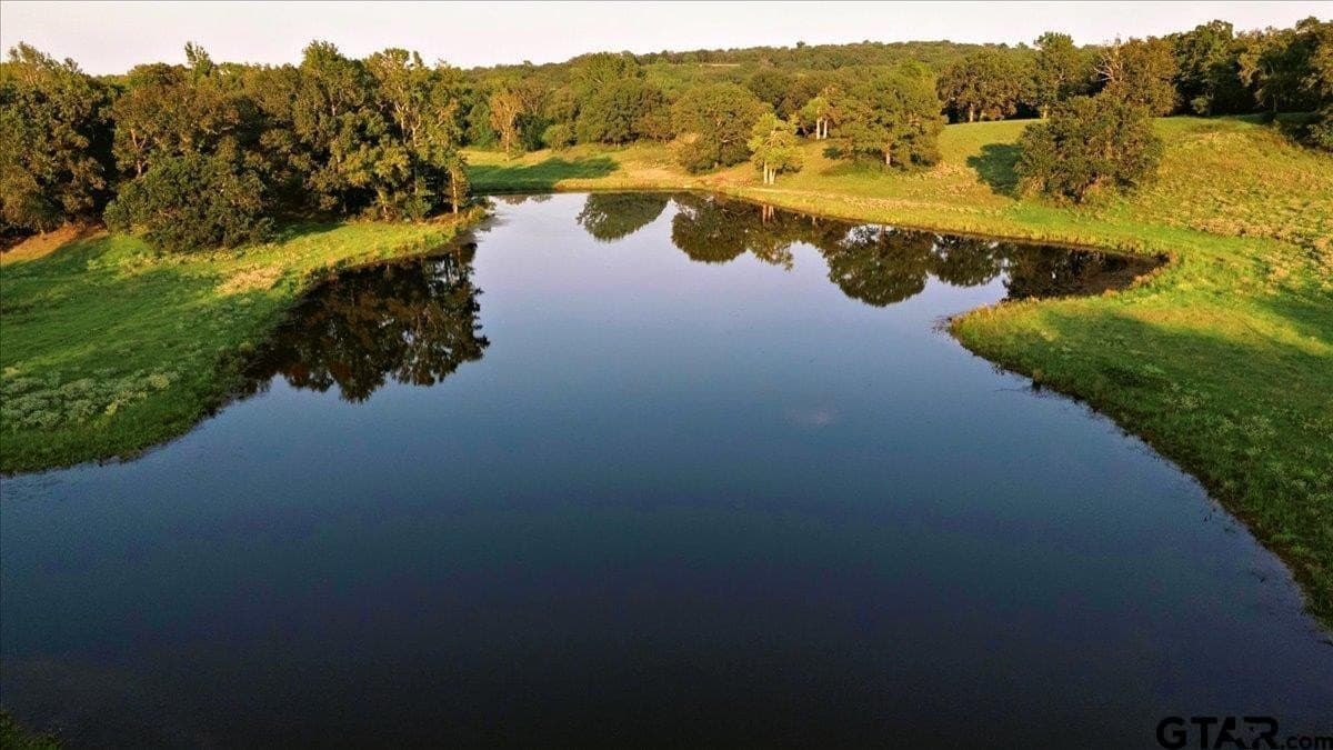 118 acres in Smith County - photo 47