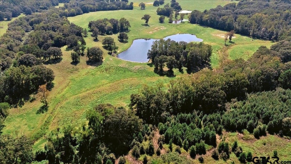 118 acres in Smith County - photo 45