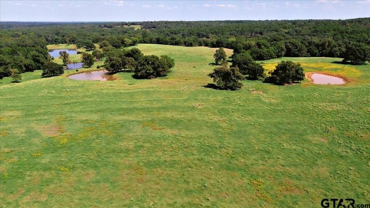 118 acres in Smith County - photo 40