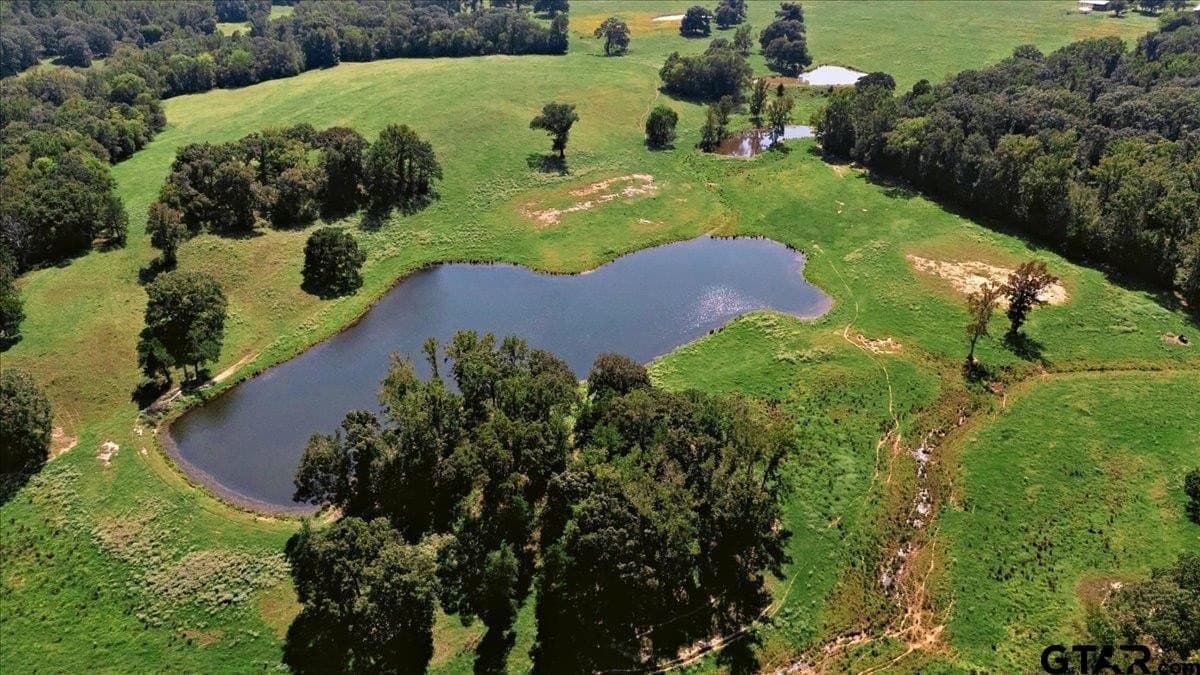 118 acres in Smith County - photo 44