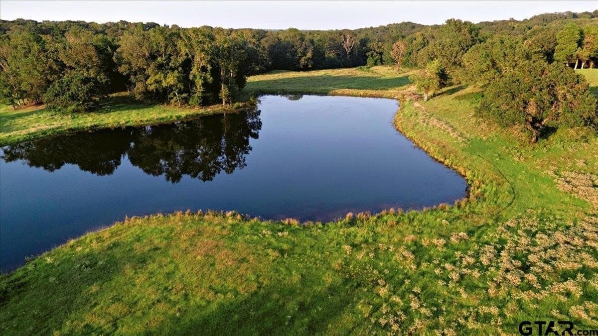 118 acres in Smith County - photo 46