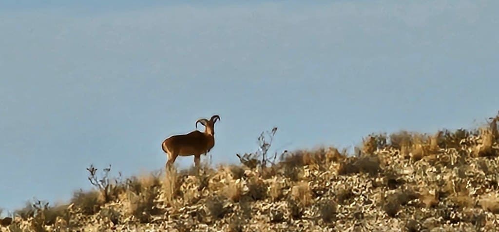 641 acres in Brewster County - photo 2