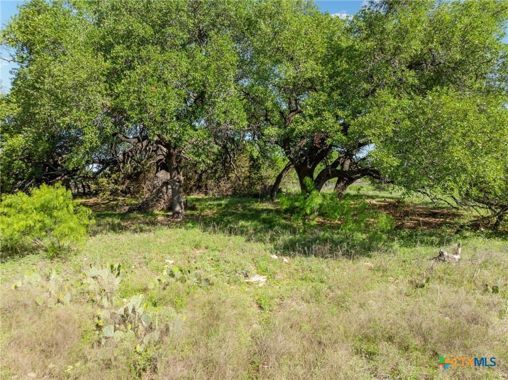 10.01 acres in Hamilton County - photo 28