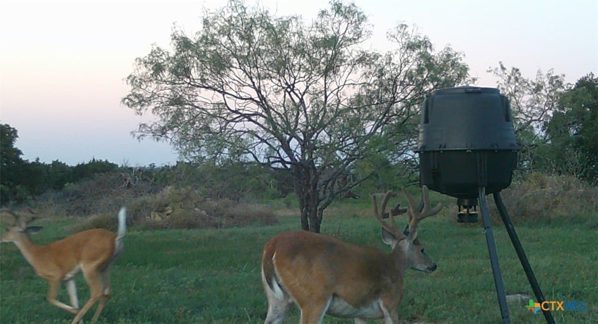 10.01 acres in Hamilton County - photo 34