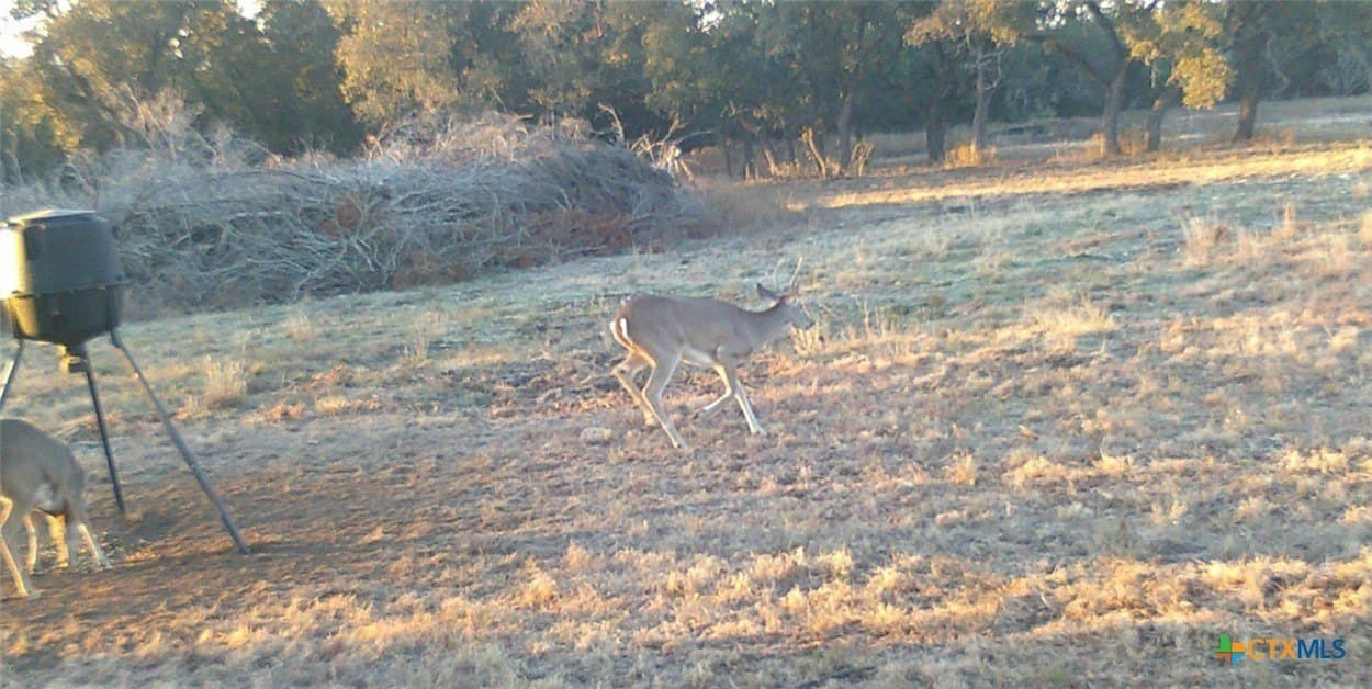 10.01 acres in Hamilton County - photo 36