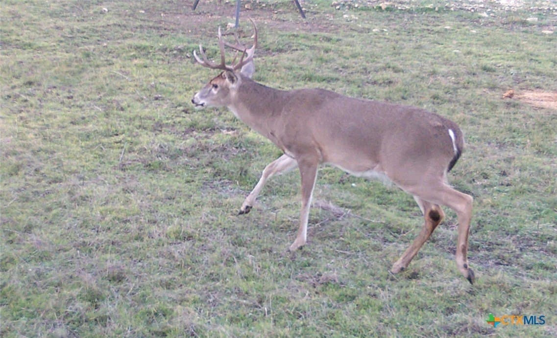 10.01 acres in Hamilton County - photo 35