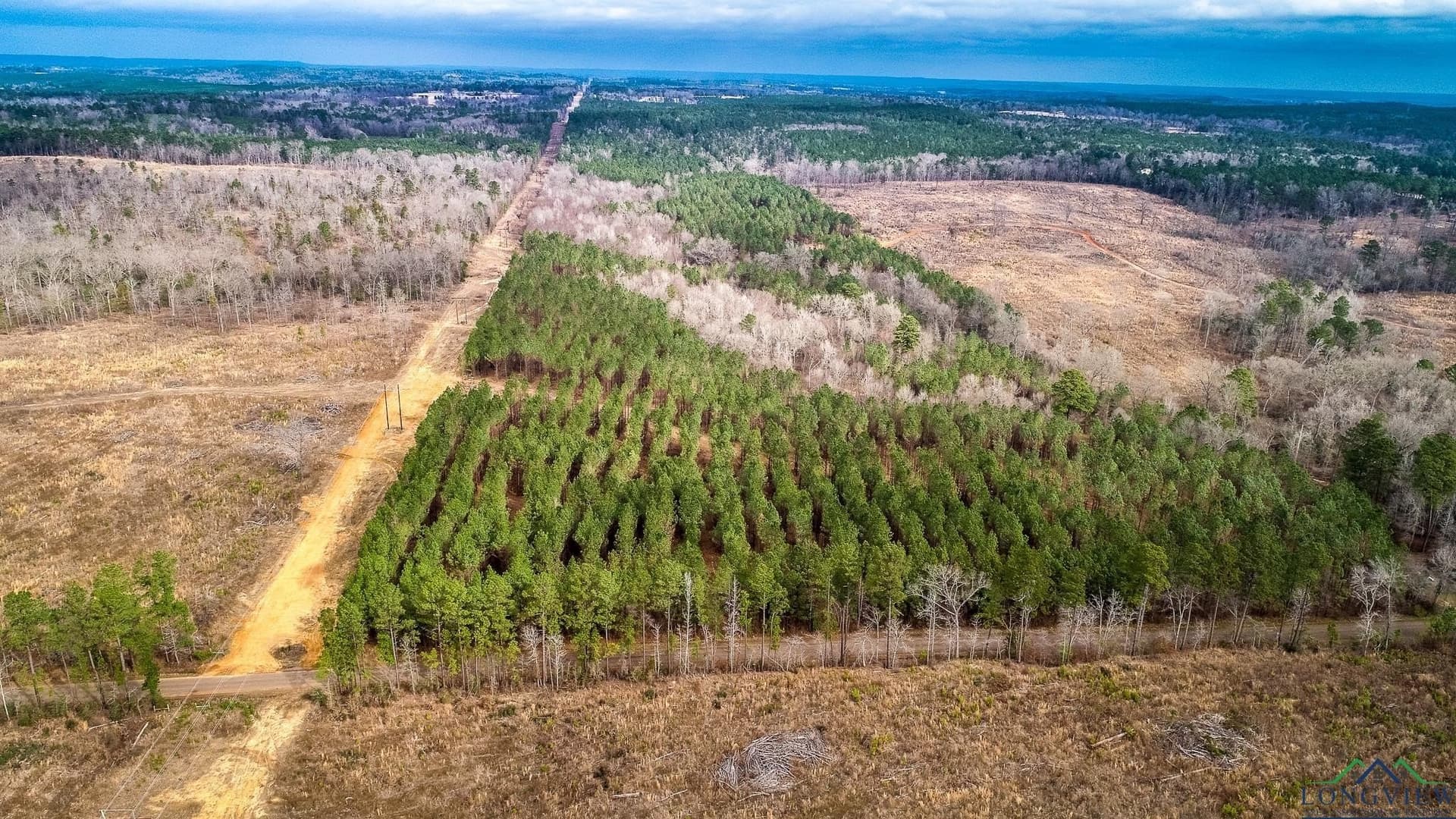 2 acres in Upshur County - photo 11