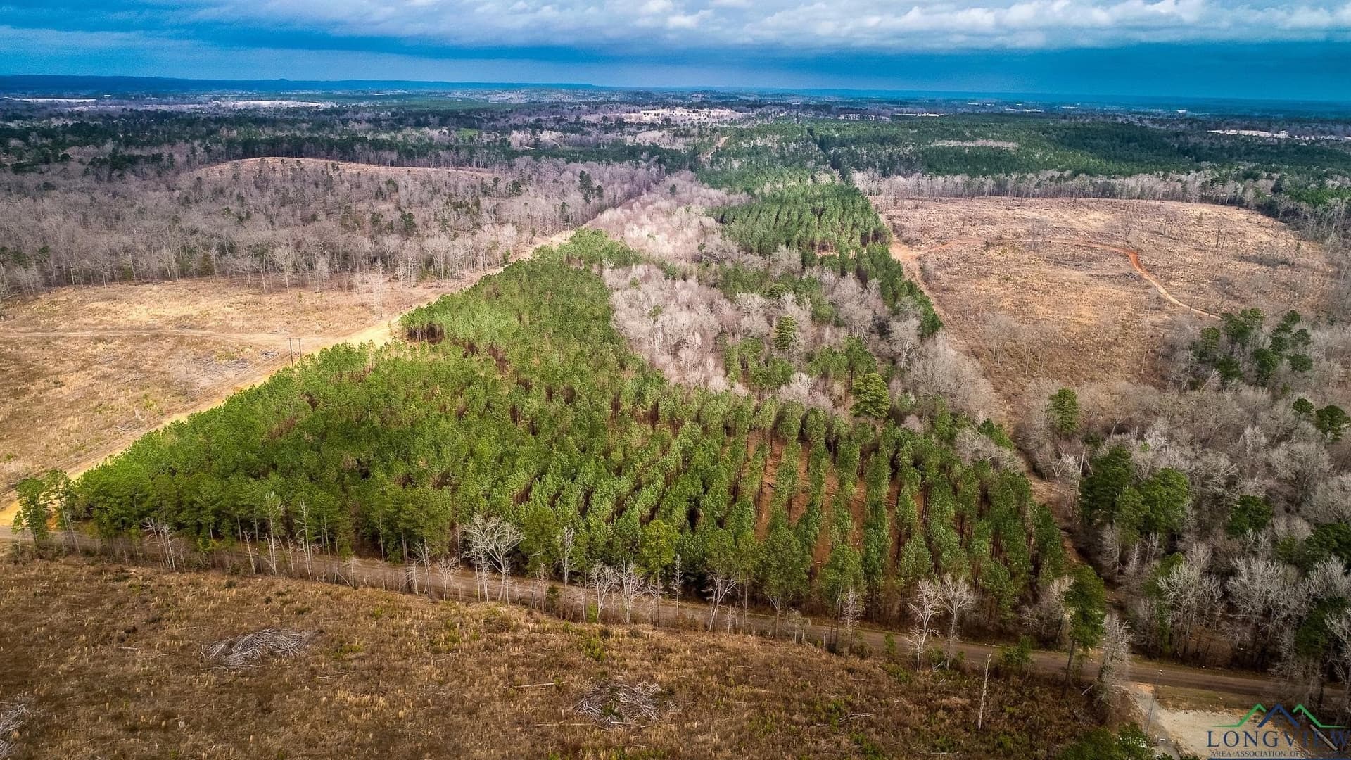 2 acres in Upshur County - photo 17