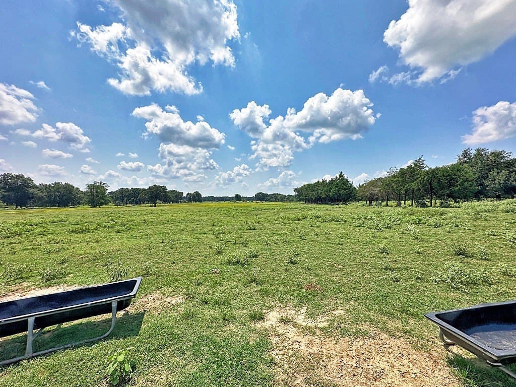 53.69 acres in Henderson County - photo 17