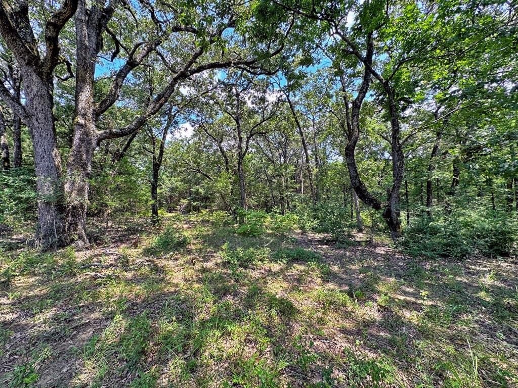 53.69 acres in Henderson County - photo 21