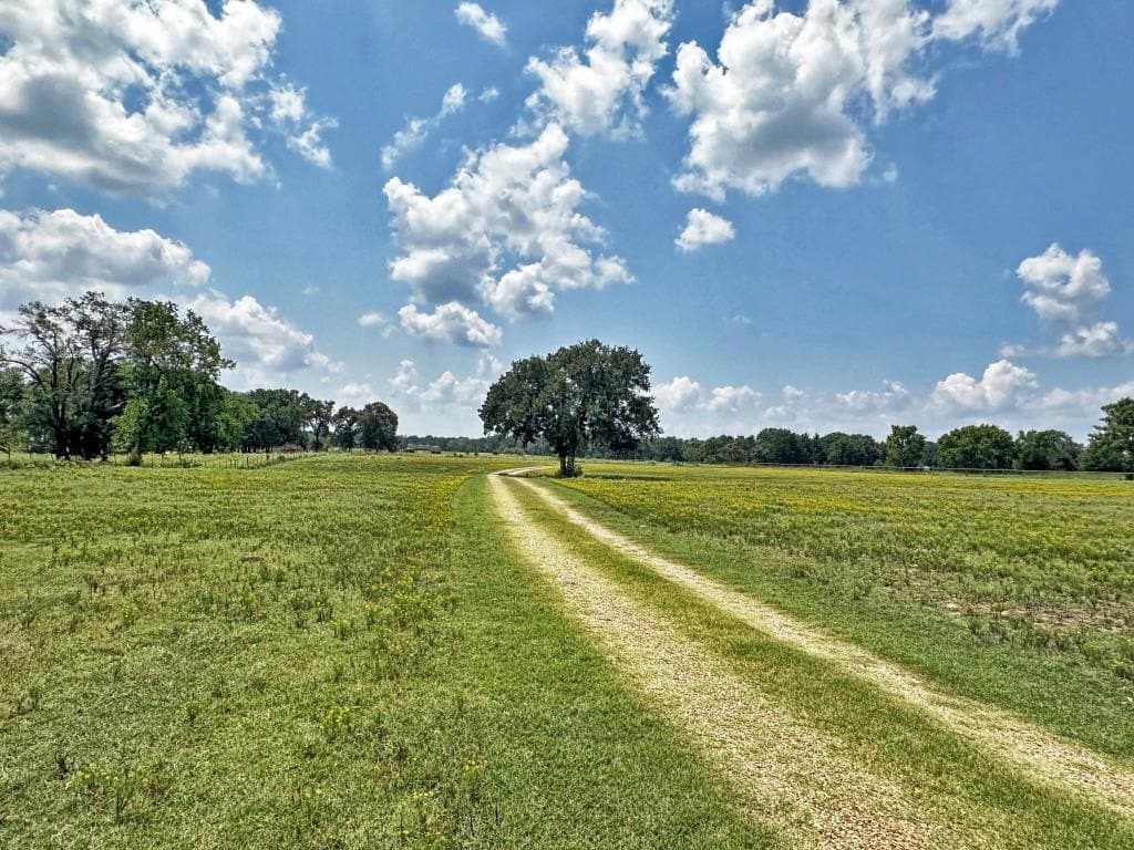 53.69 acres in Henderson County - photo 23