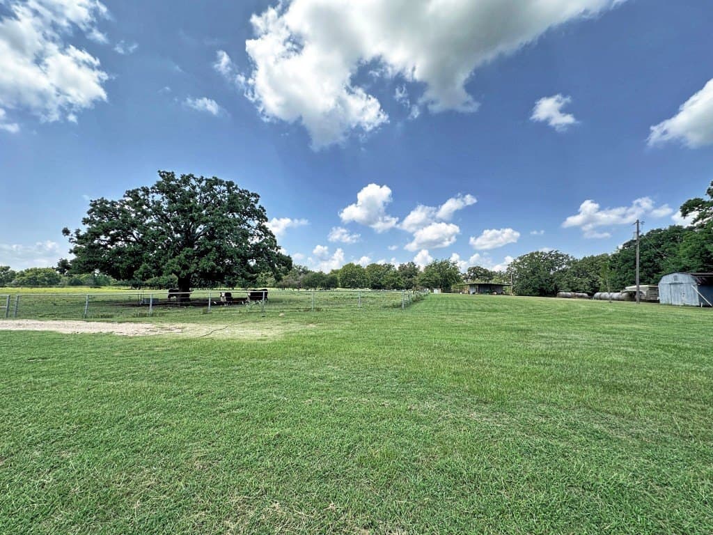 53.69 acres in Henderson County - photo 20