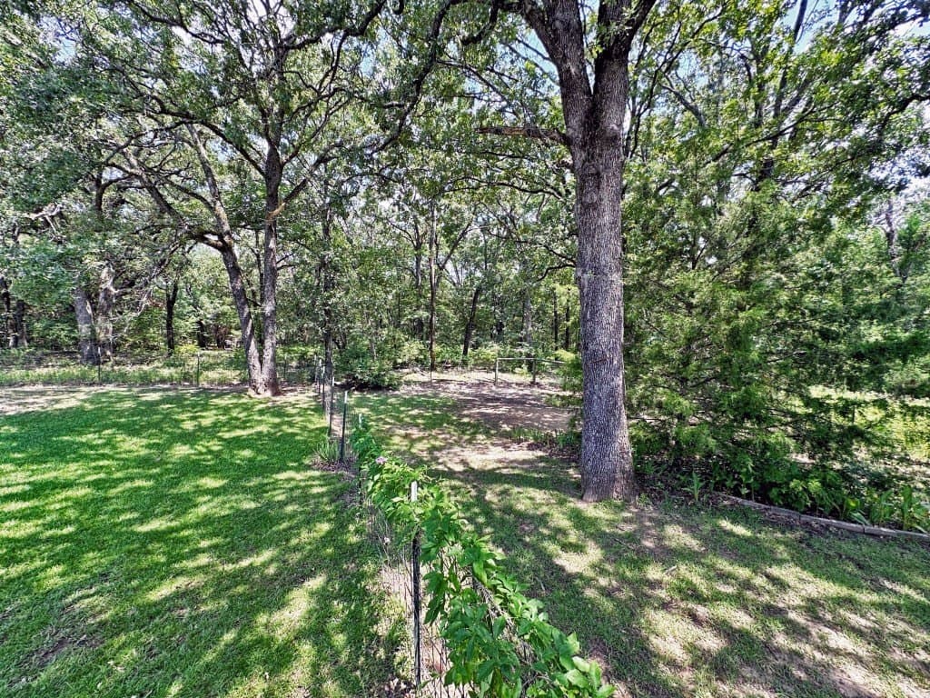 53.69 acres in Henderson County - photo 13