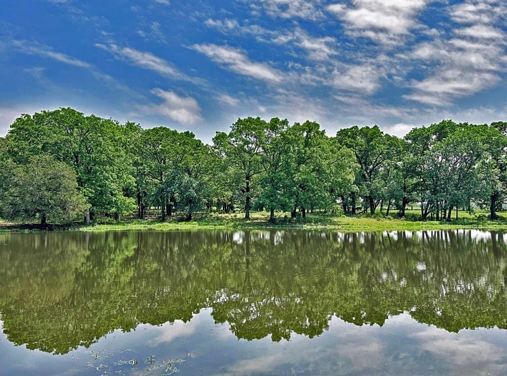 53.69 acres in Henderson County - photo 18