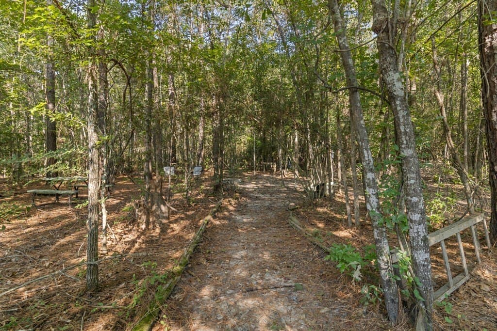 18.22 acres in ANDERSON County - photo 6
