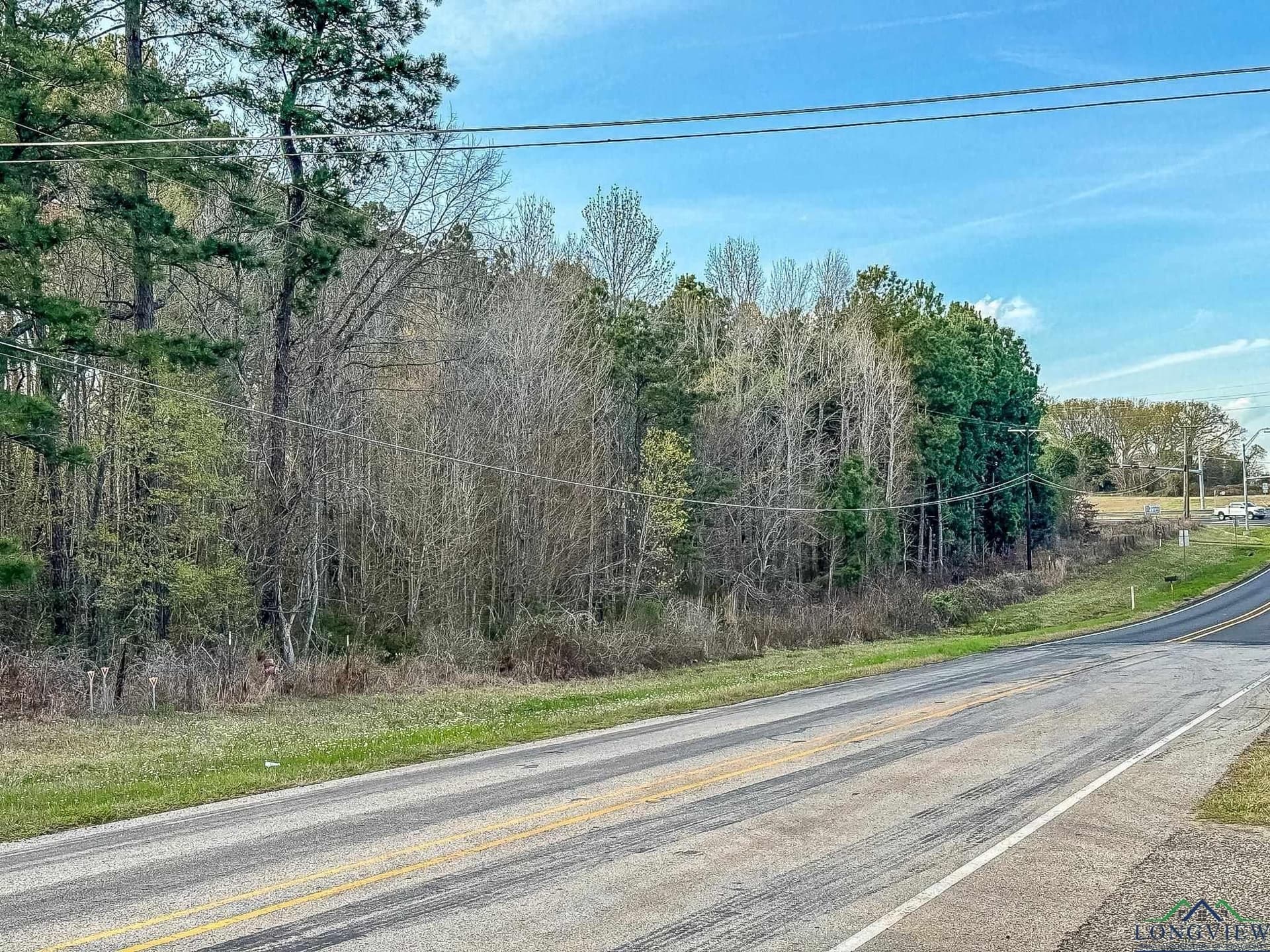 29 acres in Gregg County - photo 3