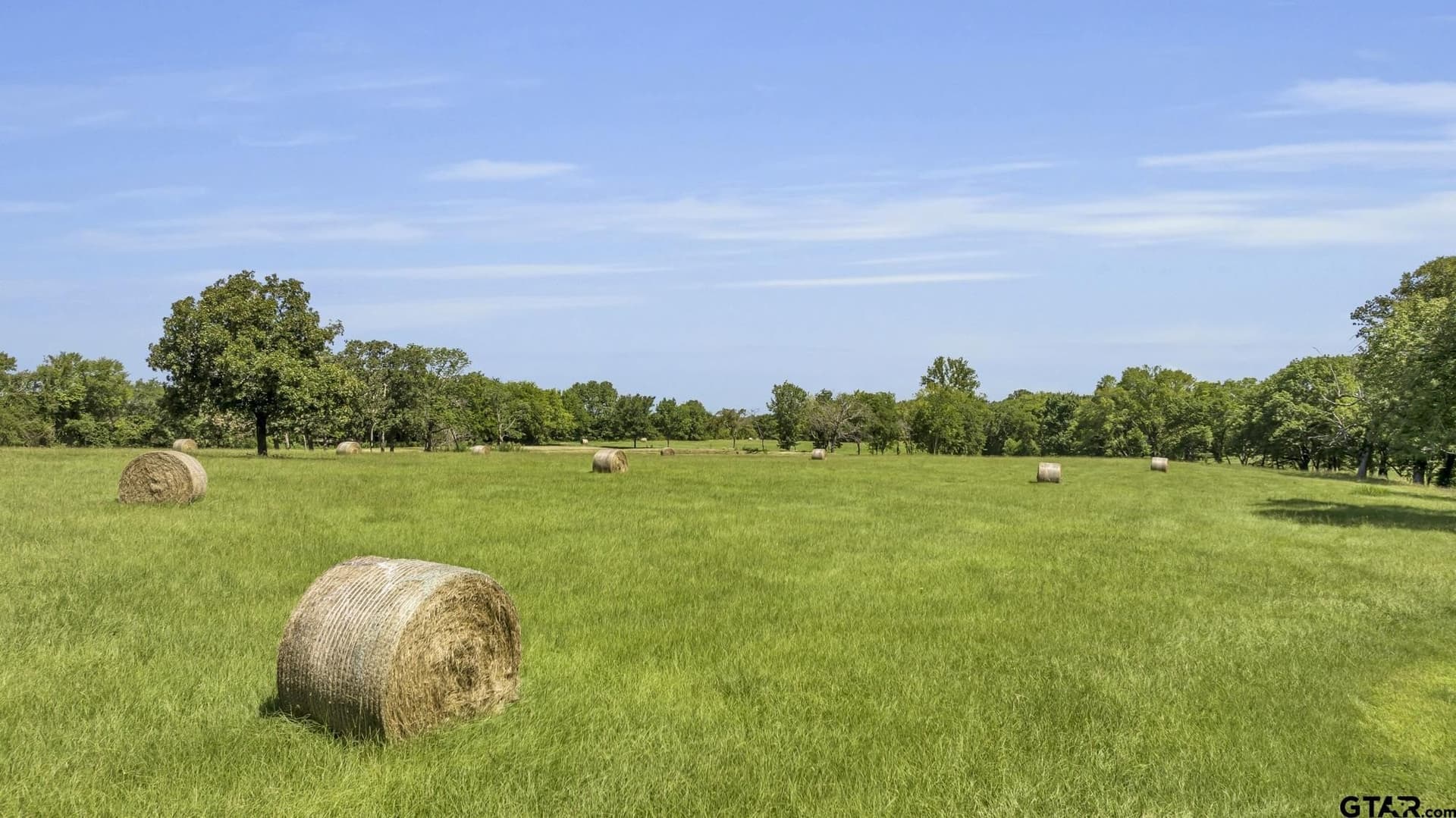 28.89 acres in Wood County - photo 6