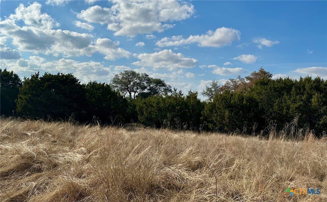 229.33 acres in Coryell County - photo 20