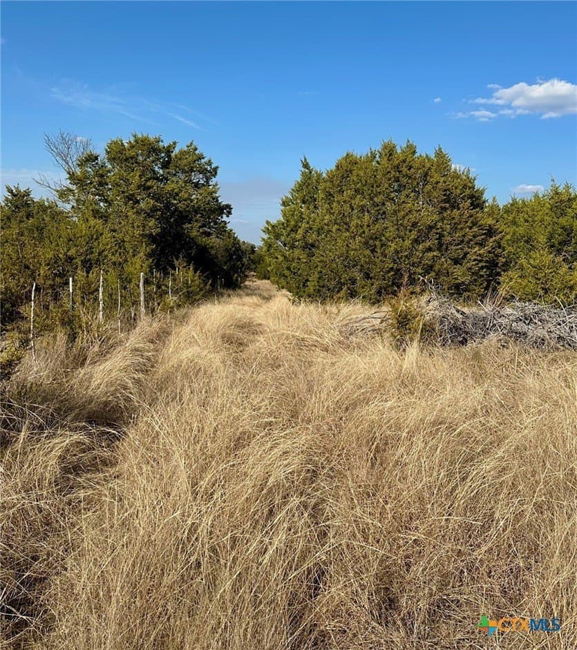 229.33 acres in Coryell County - photo 23