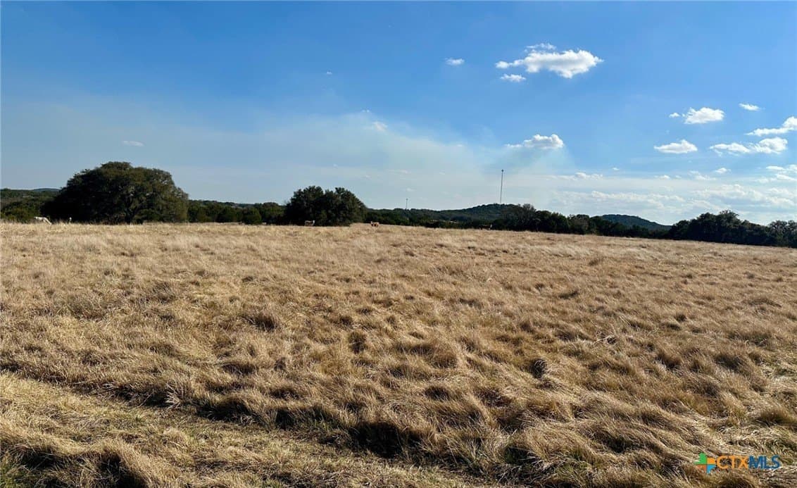 229.33 acres in Coryell County - photo 6