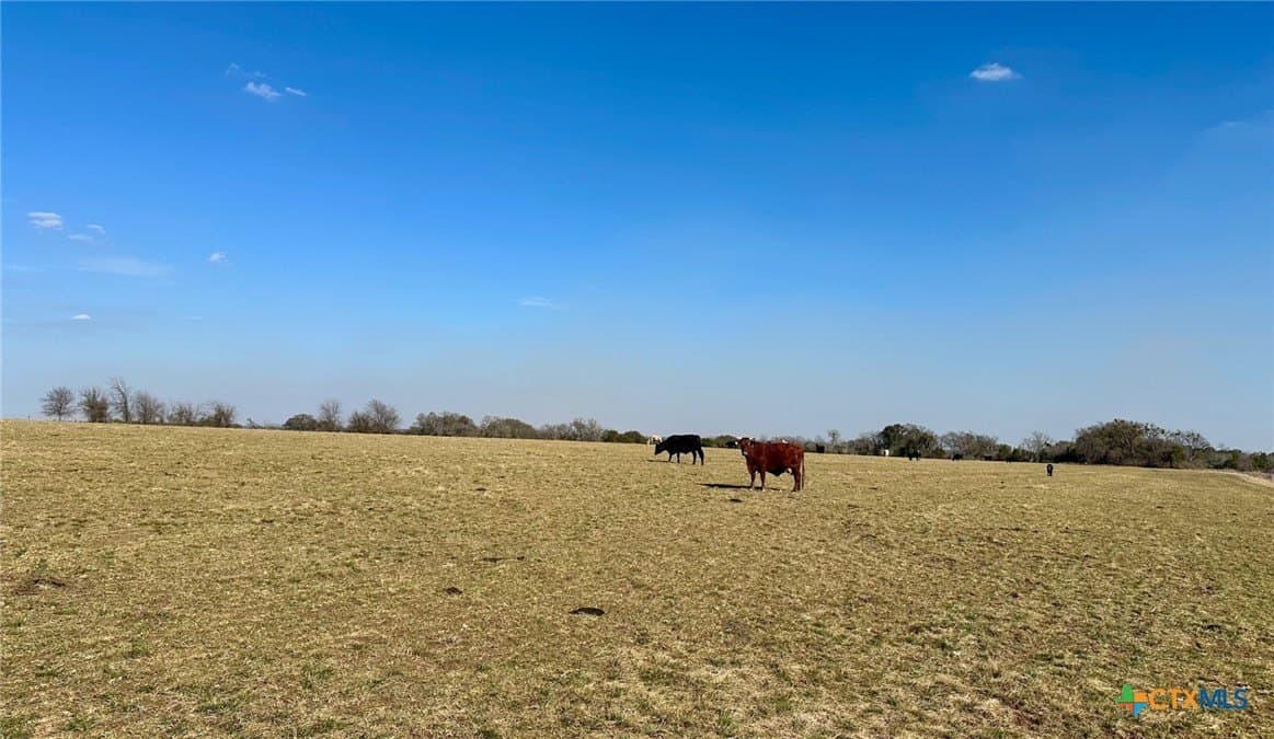 229.33 acres in Coryell County - photo 8