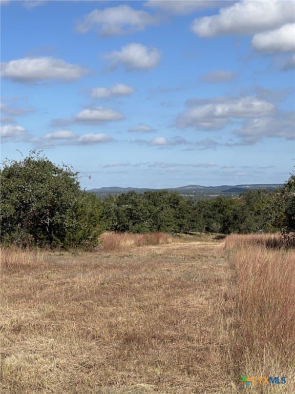 29.44 acres in Comal County - photo 15