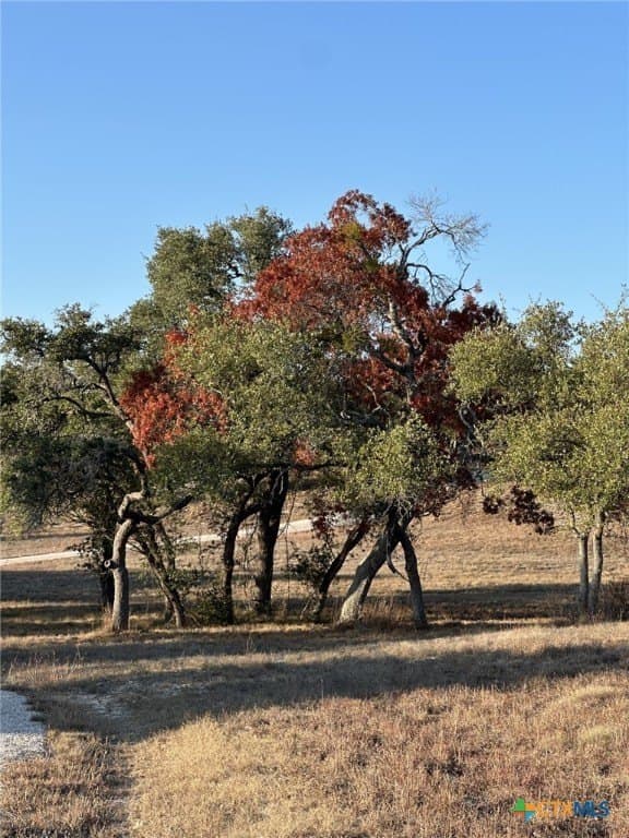 29.44 acres in Comal County - photo 9