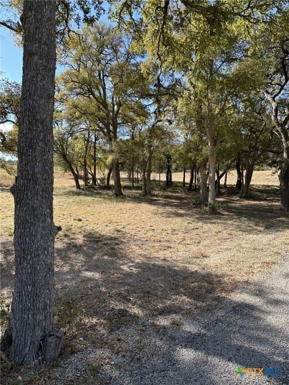 29.44 acres in Comal County - photo 11