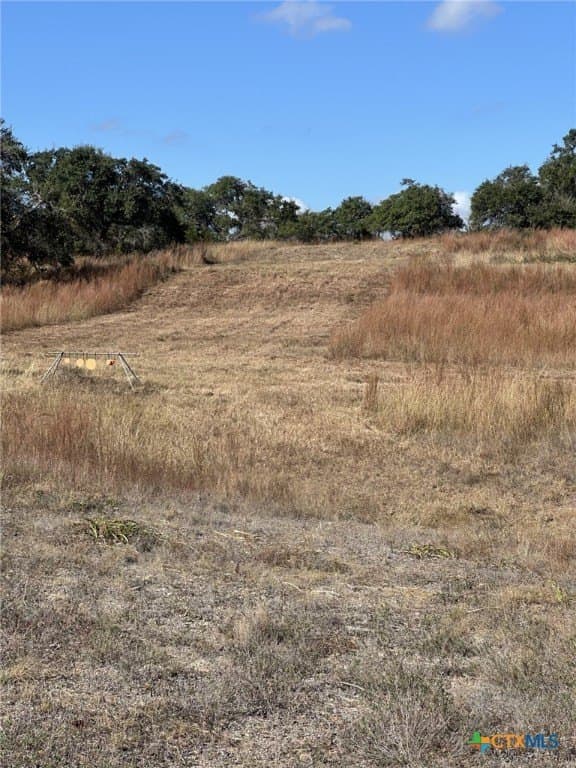 29.44 acres in Comal County - photo 13