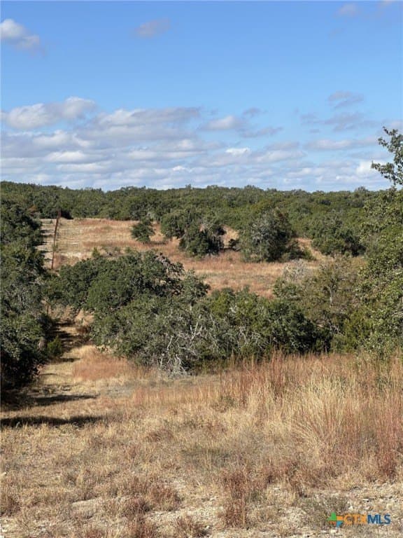 29.44 acres in Comal County - photo 3