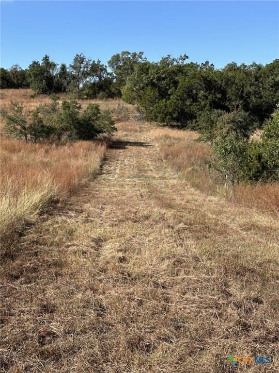 29.44 acres in Comal County - photo 4