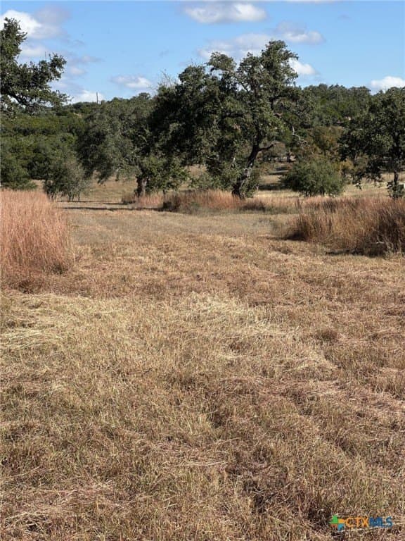 29.44 acres in Comal County - photo 2