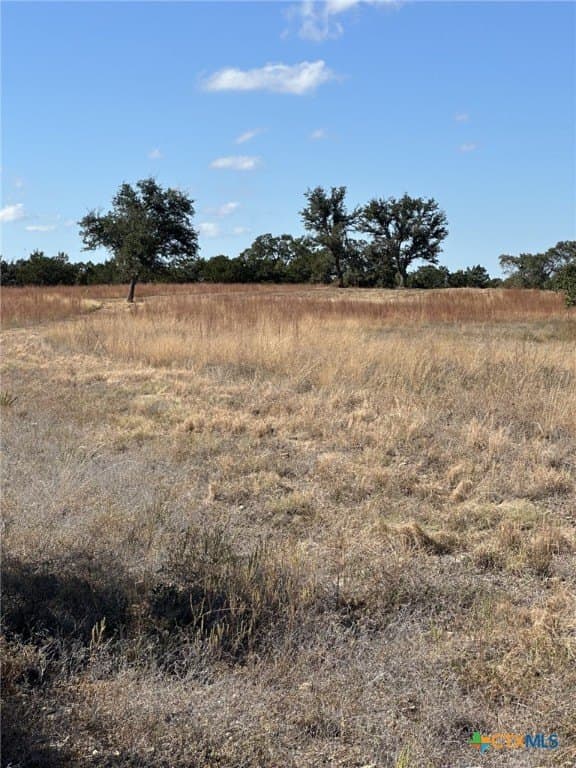 29.44 acres in Comal County - photo 8