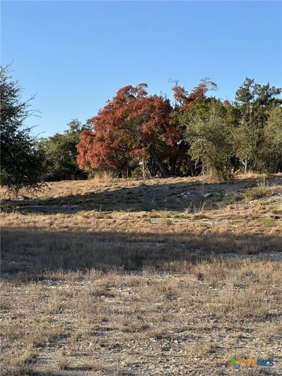 29.44 acres in Comal County - photo 10