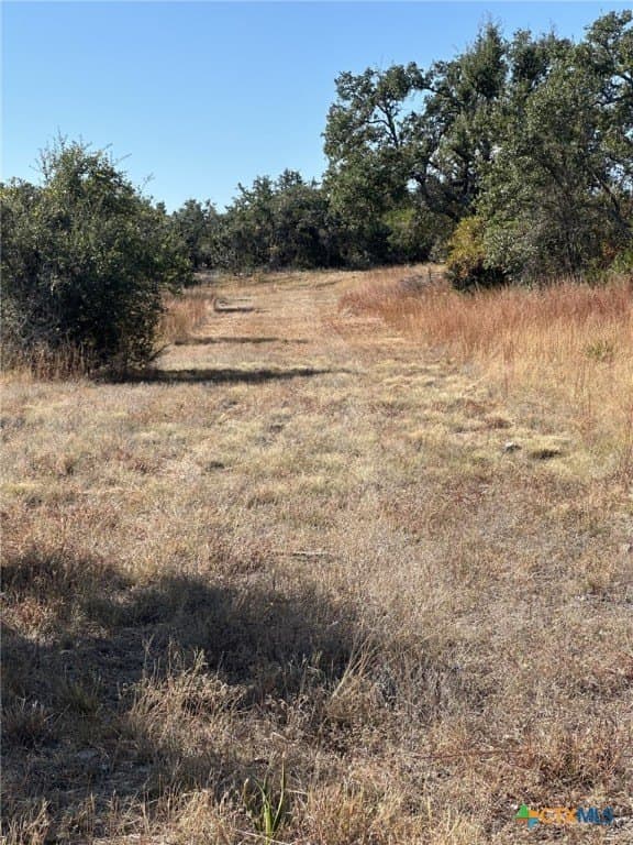 29.44 acres in Comal County - photo 14