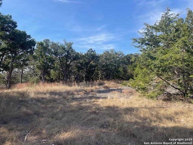 3.81 acres in Comal County - photo 14