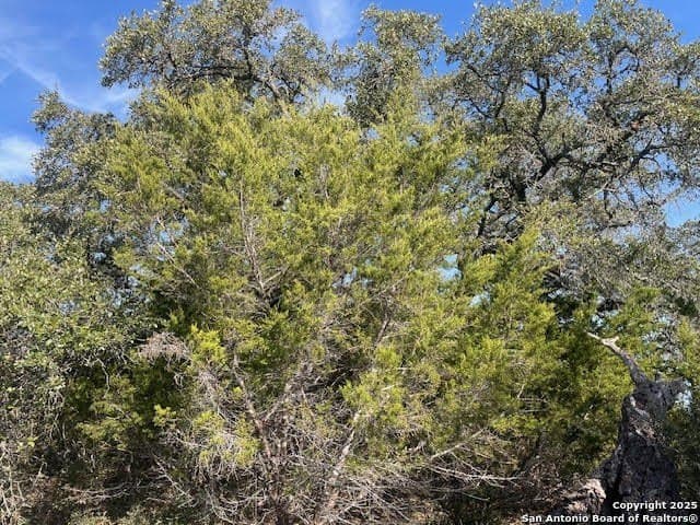 3.81 acres in Comal County - photo 16