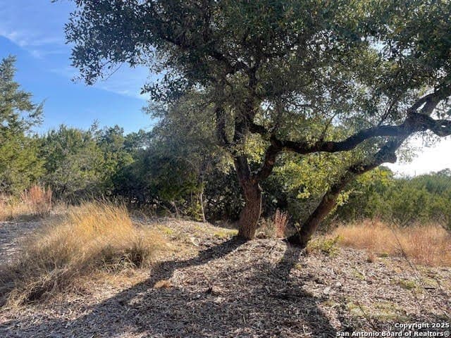 3.81 acres in Comal County - photo 8
