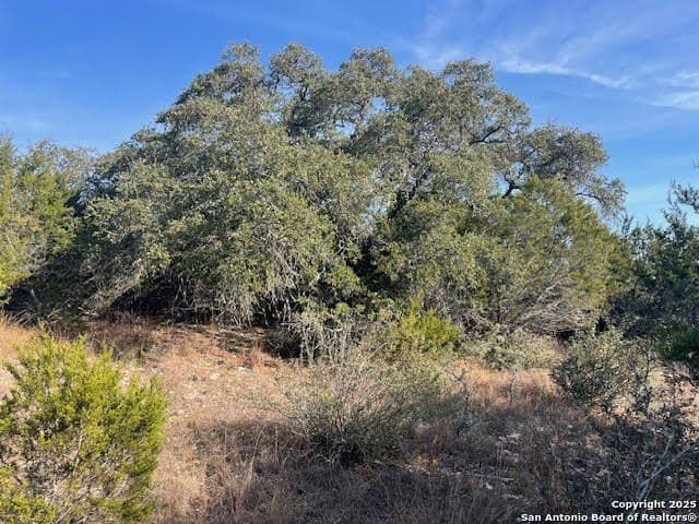 3.81 acres in Comal County - photo 20