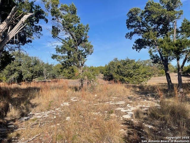 3.81 acres in Comal County - photo 9