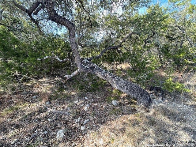 3.81 acres in Comal County - photo 25