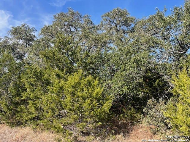 3.81 acres in Comal County - photo 22