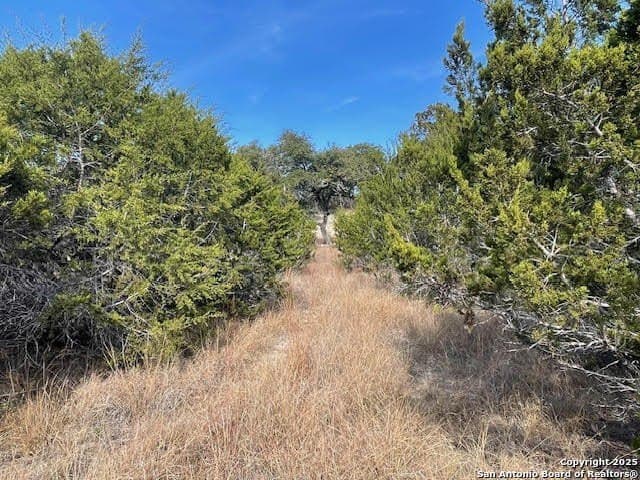 3.81 acres in Comal County - photo 26