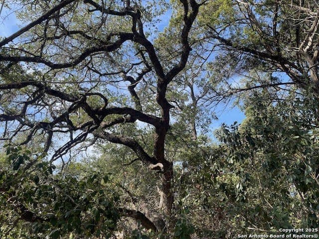 3.81 acres in Comal County - photo 4