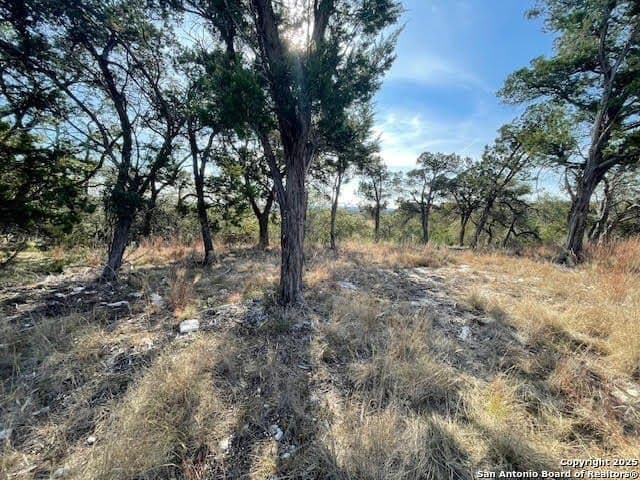 3.81 acres in Comal County - photo 19